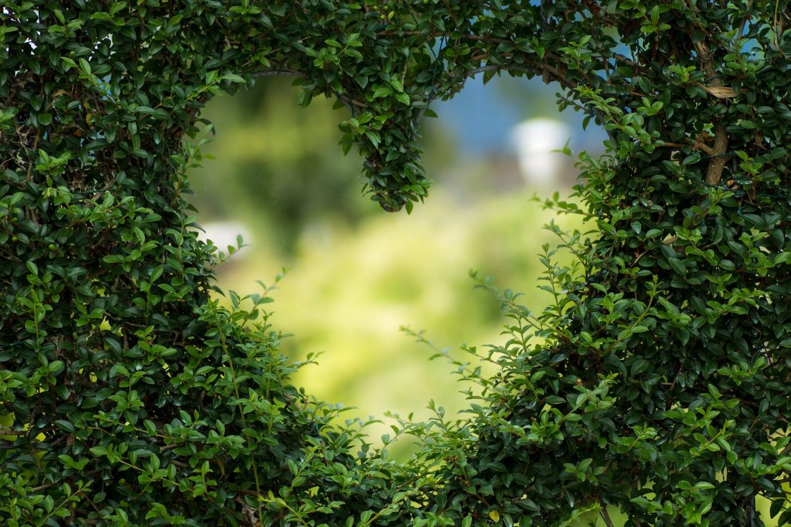 Green heart formed from leaves