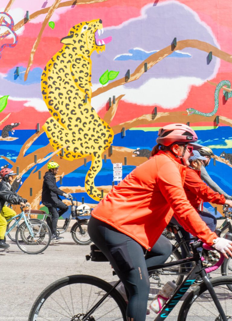 Art & Parks Downtown Austin Alliance with Lifestyle Austin and Catenya McHenry
