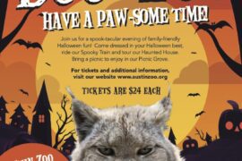 Boo at the Austin Zoo featured on Lifestyle Austin TX with Catenya McHenry