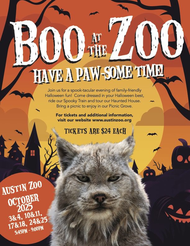 Boo at the Austin Zoo featured on Lifestyle Austin TX with Catenya McHenry