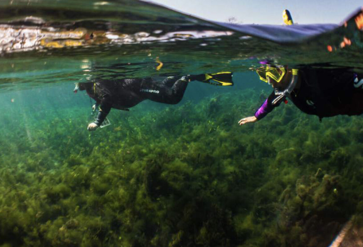 Spring Lake snorkel tour featured on Lifestyle Austin TX with Catenya McHenry