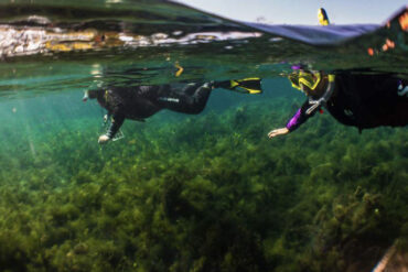 Spring Lake snorkel tour featured on Lifestyle Austin TX with Catenya McHenry