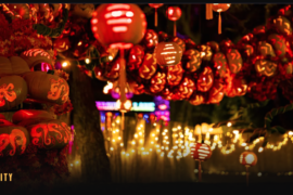 Austin Pumpkin Nights featured on Lifestyle Austin TX with host Catenya McHenry